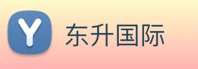 东升国际 logo
